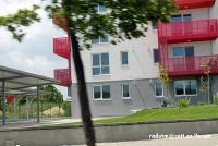 Imagine atasata: vivalia-soarelui (3).JPG